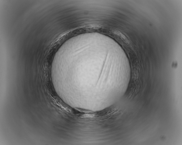 X0000094810773200712141621