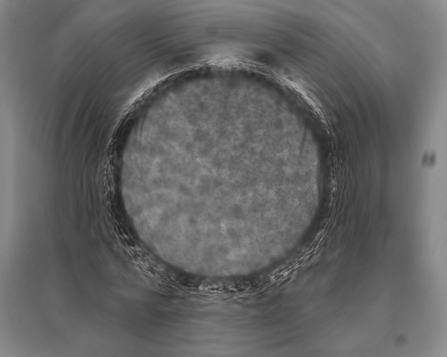 X0000094810776200712141621