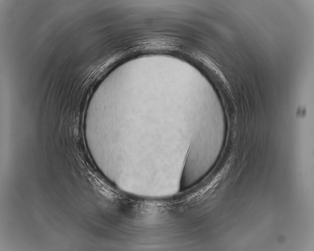 X0000094810777200712141621