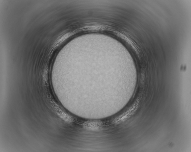 X0000094810778200712141621