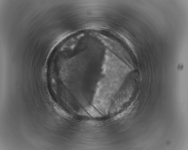 X0000094810779200712141621