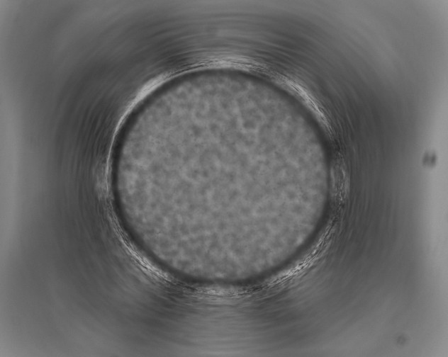 X0000094810780200712141621