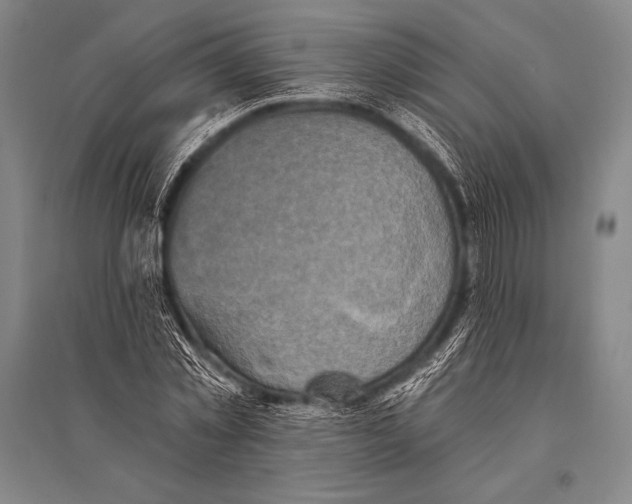 X0000094810781200712141621