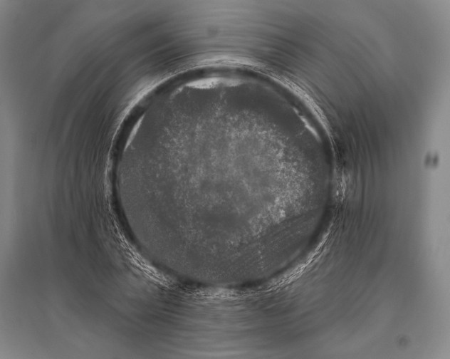 X0000094810783200712141621