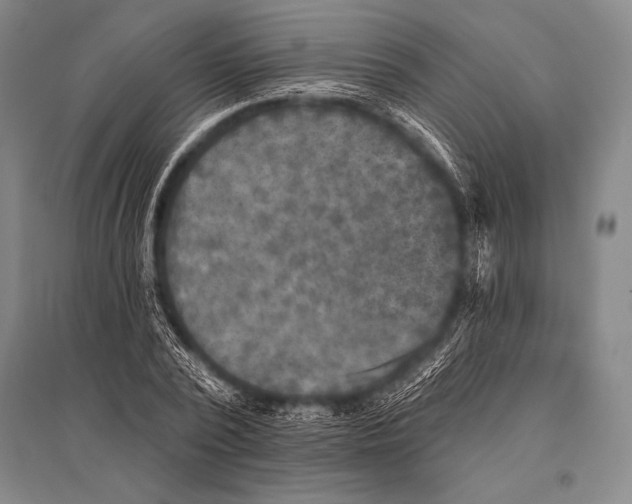 X0000094810784200712141621