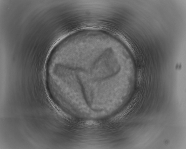 X0000094810787200712141621