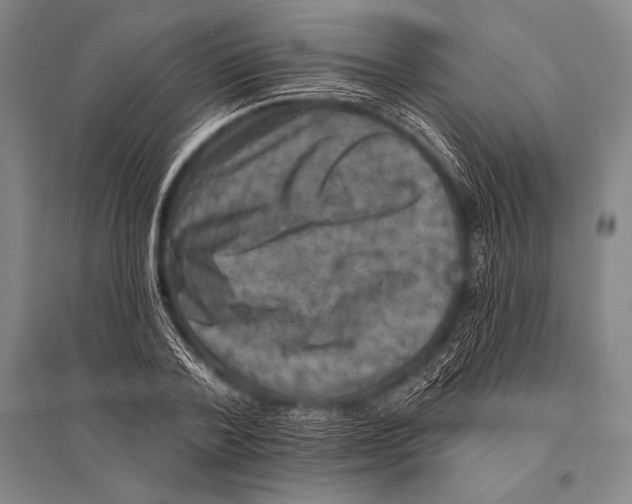 X0000094810788200712141621