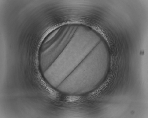 X0000094810789200712141621