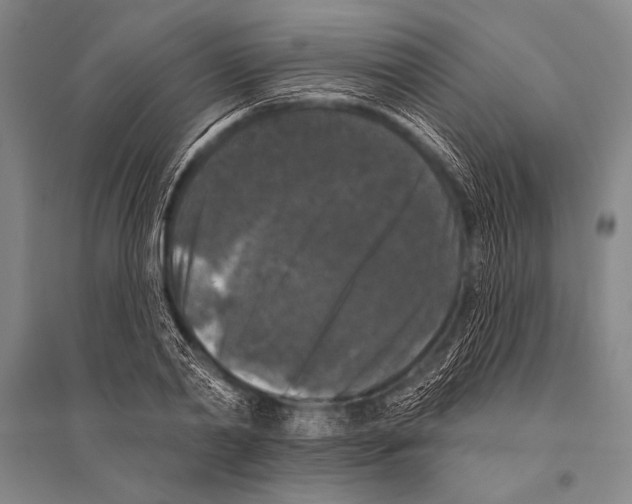 X0000094810790200712141621