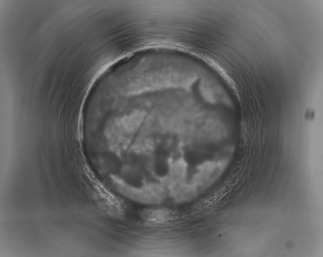 X0000094810791200712141621