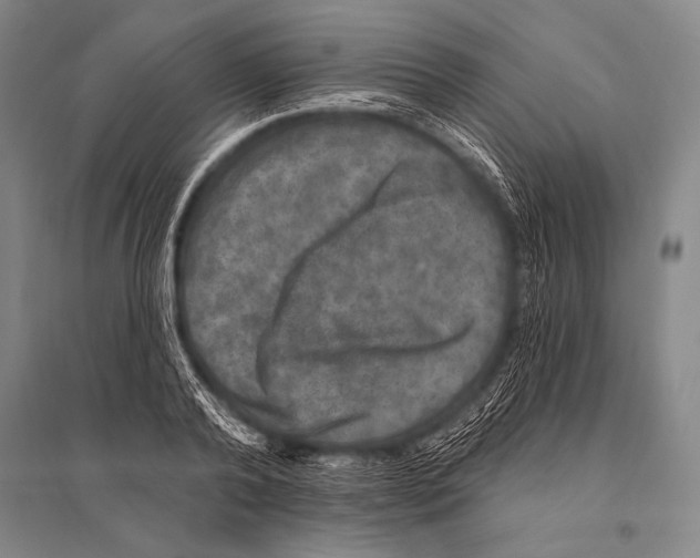 X0000094810792200712141621