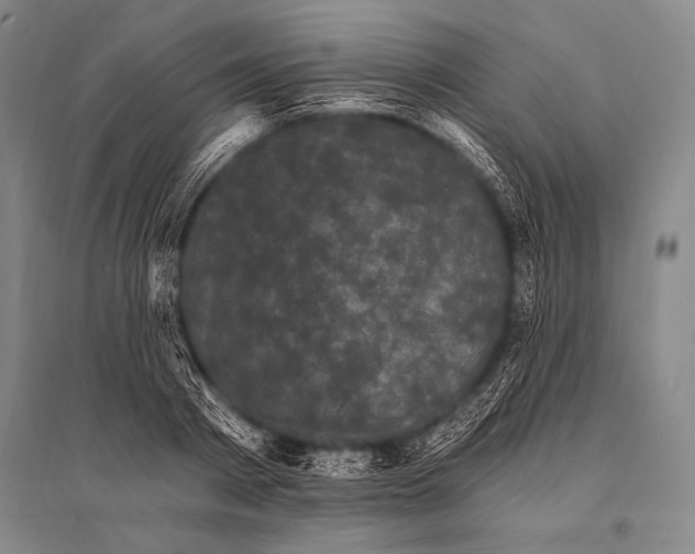 X0000094810793200712141621