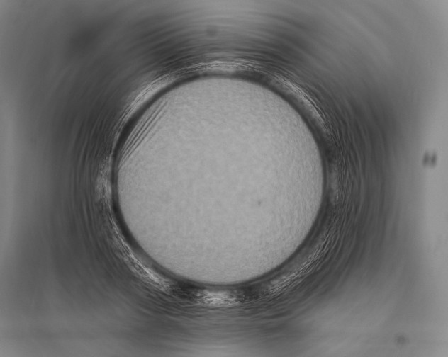 X0000094810794200712141621