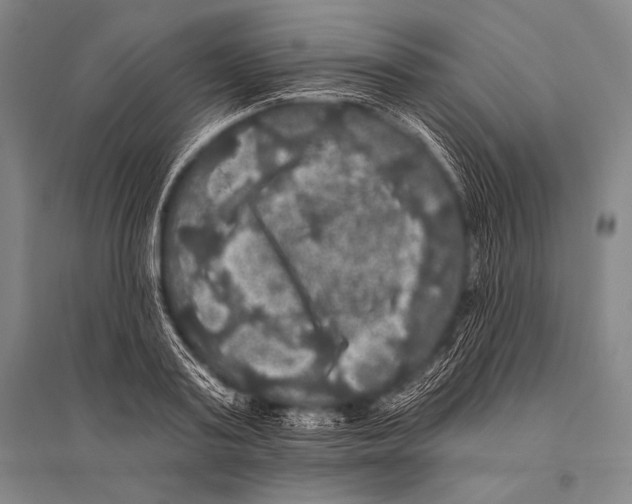 X0000094810795200712141621