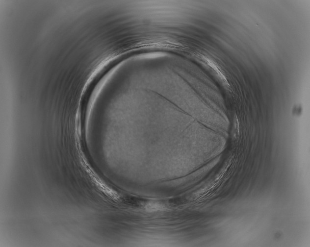 X0000094810796200712141621