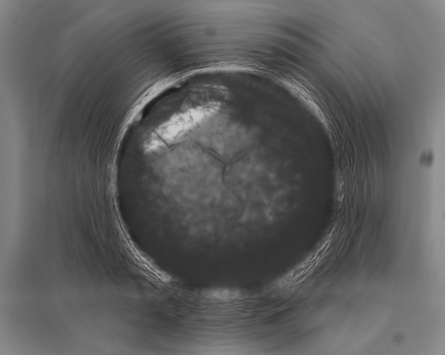 X0000094810797200712141621