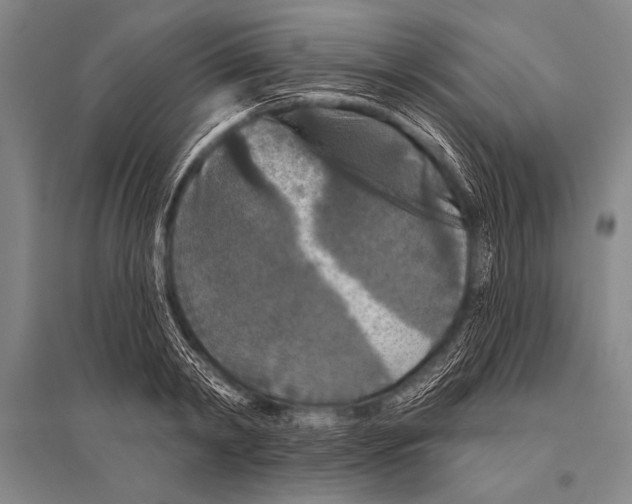 X0000094810798200712141621