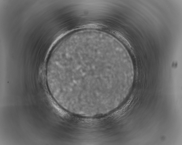 X0000094810800200712141621