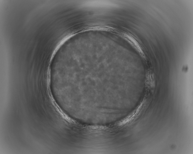 X0000094810804200712141621