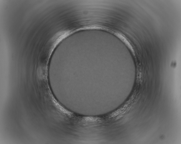 X0000094810805200712141621