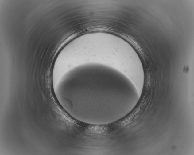 X0000094810806200712141620