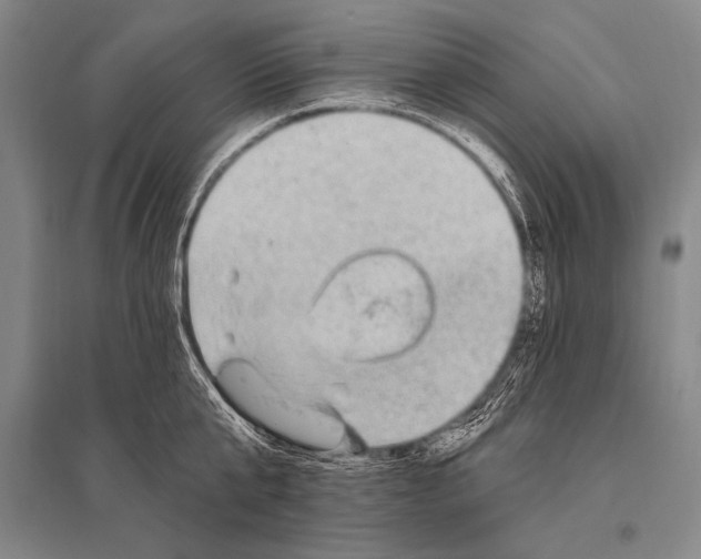 X0000094810807200712141620