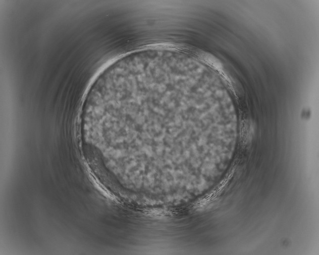 X0000094810808200712141620