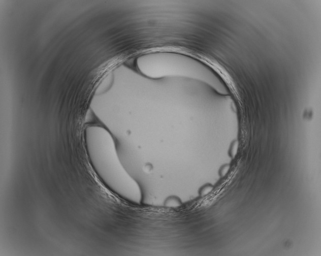 X0000094810809200712141620