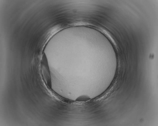 X0000094810810200712141620