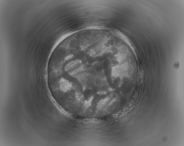 X0000094810811200712141620