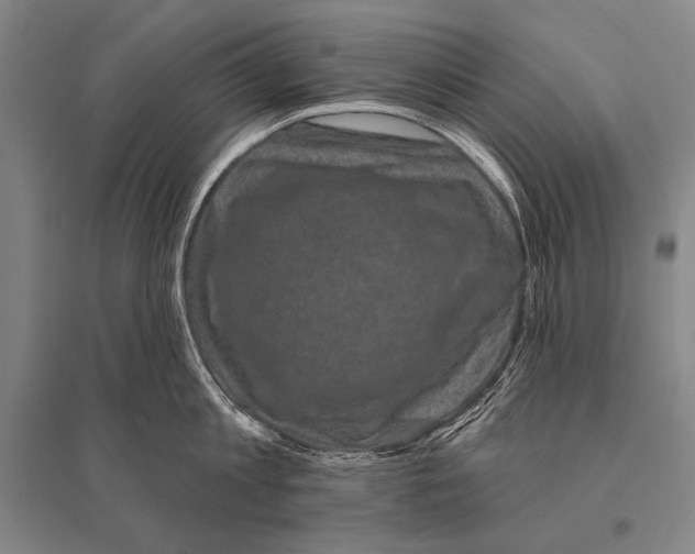 X0000094810813200712141620