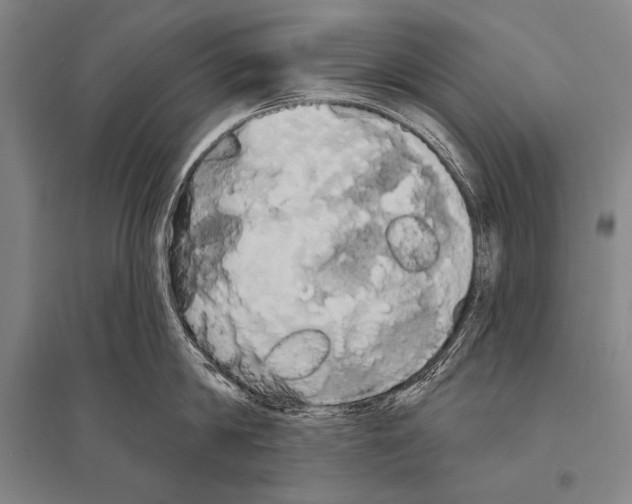 X0000094810814200712141620