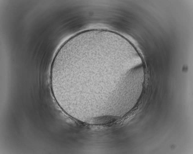 X0000094810815200712141620