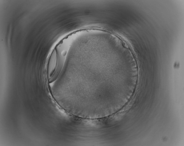 X0000094810816200712141620