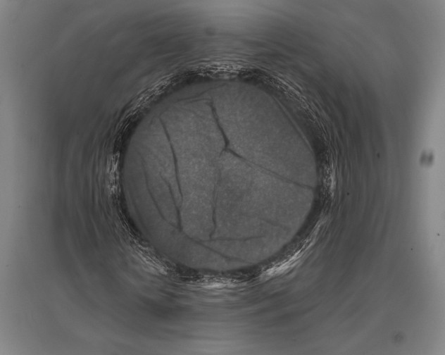 X0000094810818200712141620