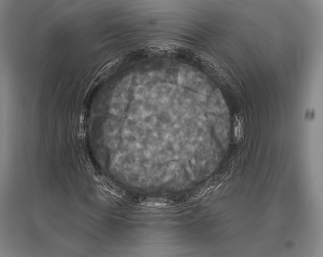 X0000094810819200712141620