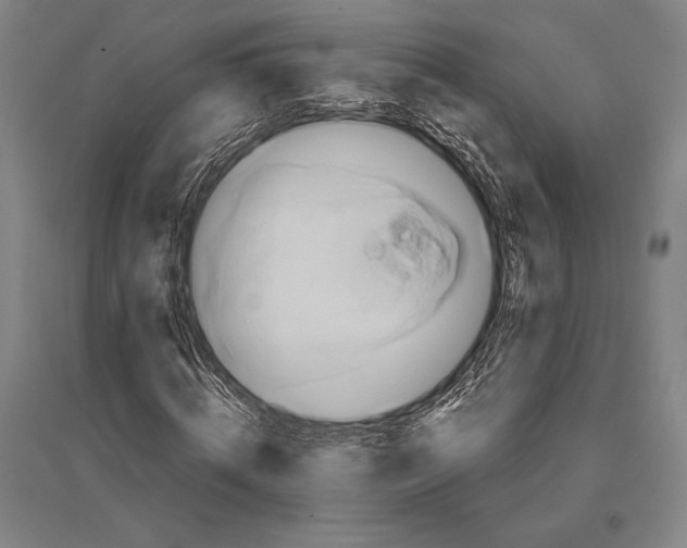 X0000094810820200712141620