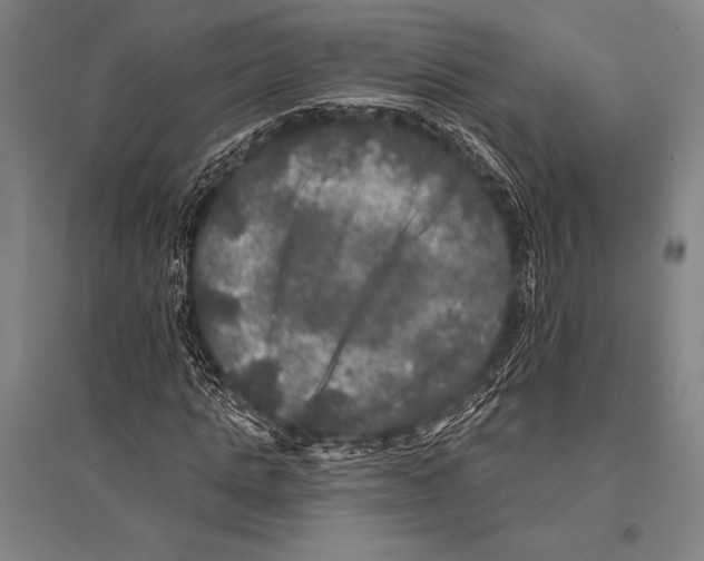 X0000094810821200712141620