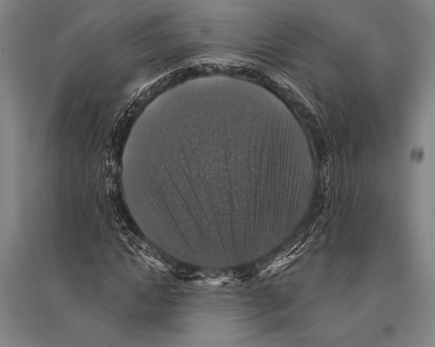 X0000094810822200712141620