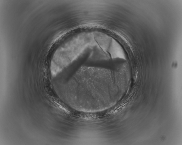 X0000094810823200712141620