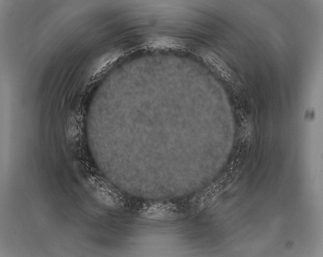 X0000094810824200712141620