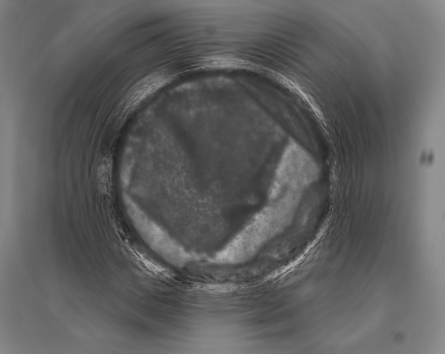 X0000094810825200712141620