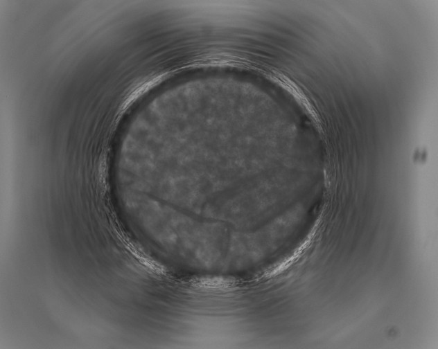 X0000094810826200712141620