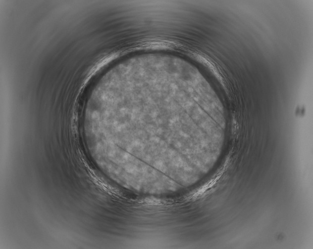 X0000094810827200712141620