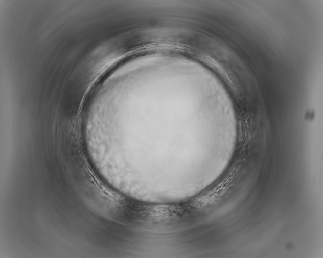 X0000094810828200712141620