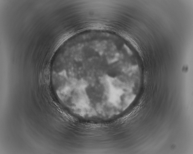 X0000094810829200712141620