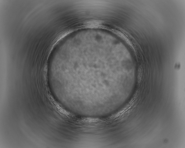 X0000094810831200712141620