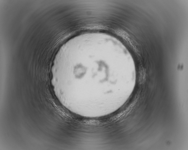 X0000094810833200712141620