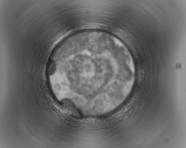 X0000094810834200712141620