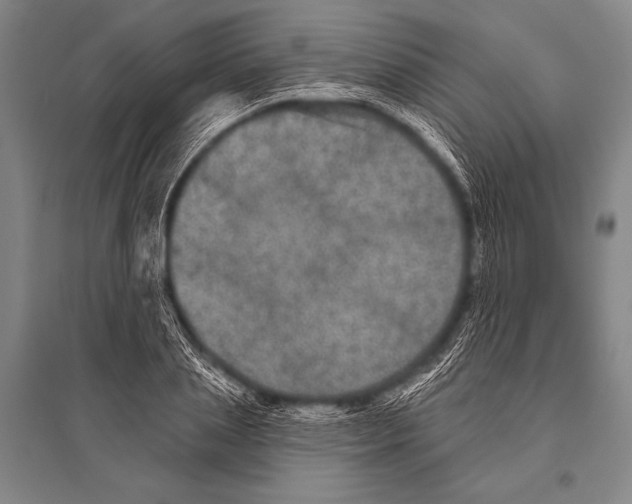 X0000094810837200712141620